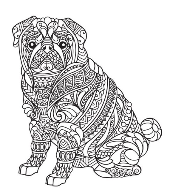 Pug mandala coloring page download now