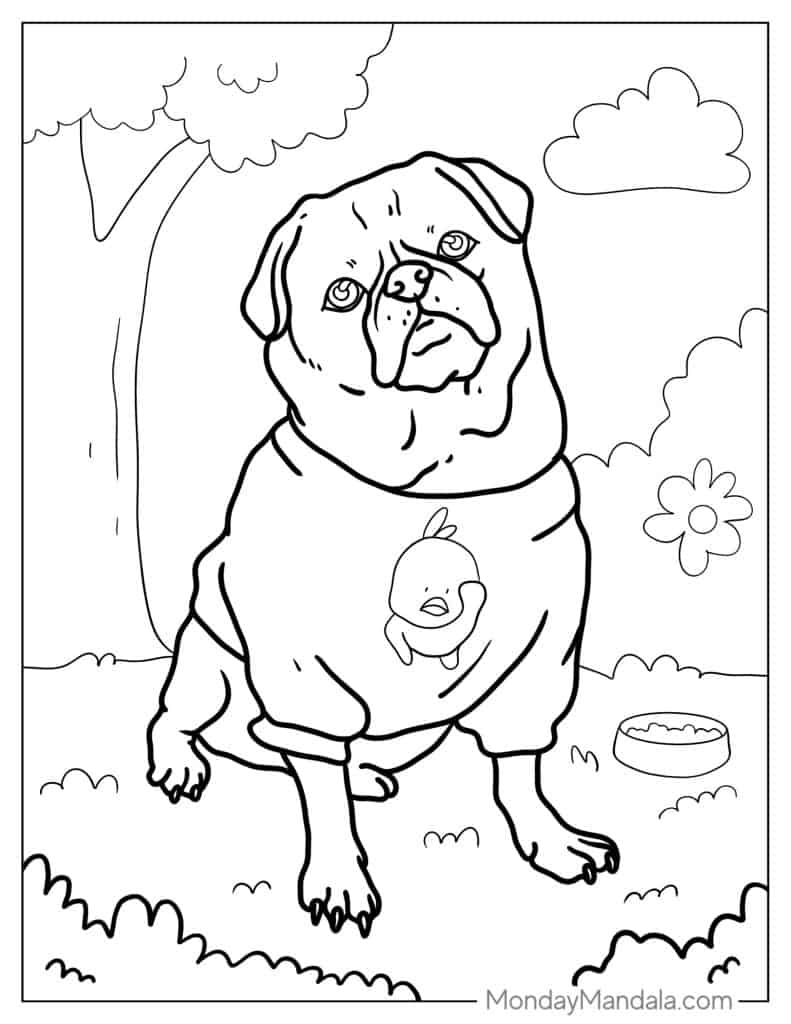 Pug coloring pages free pdf printables