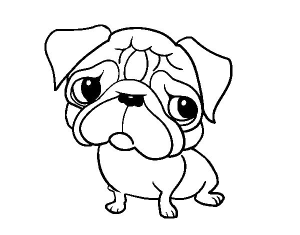 Pug coloring pages