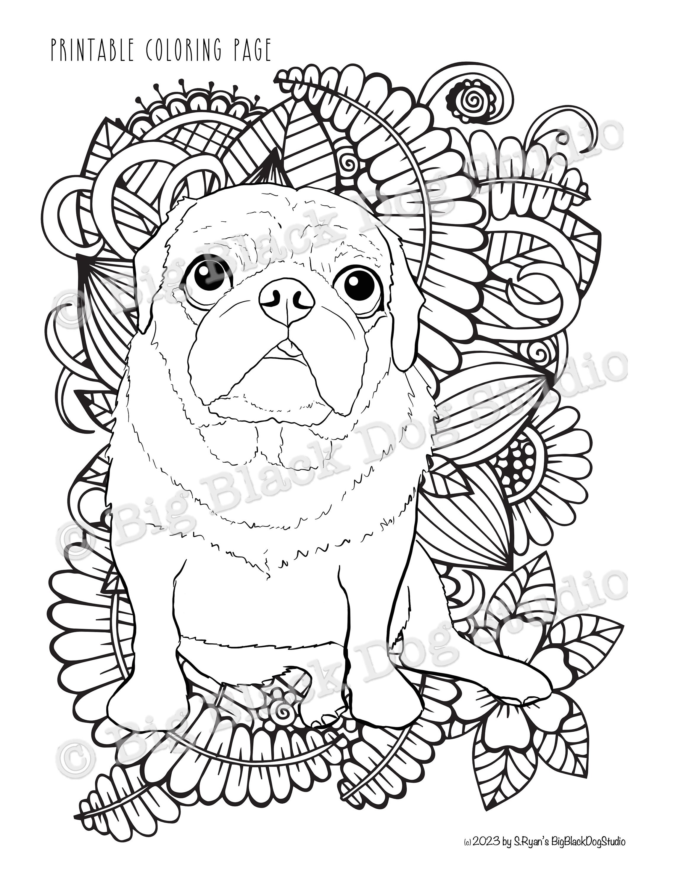 Pug coloring page digital download download now