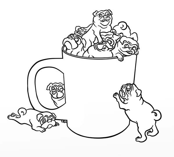 Pug in a cup coloring page color luna puppy coloring pages dog coloring page cute pugs