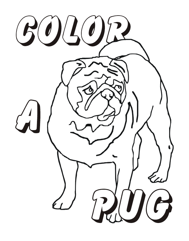 Pug coloring pages