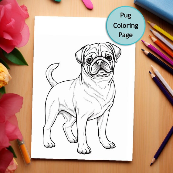 Pug dog coloring page dog coloring printable coloring page coloring for adults and kids png instant download mercial use