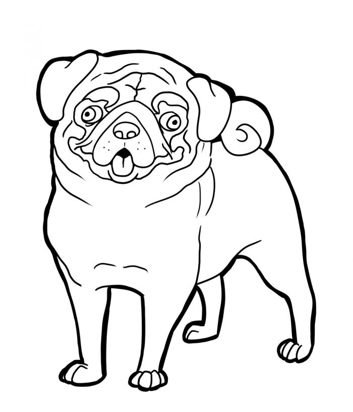 Pug coloring pages dog coloring page puppy coloring pages animal coloring pages