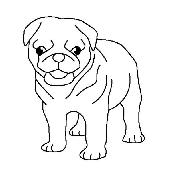 Pug coloring pages