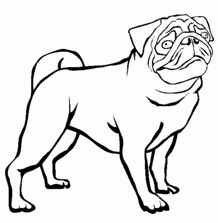 Pug coloring pages printable for free download