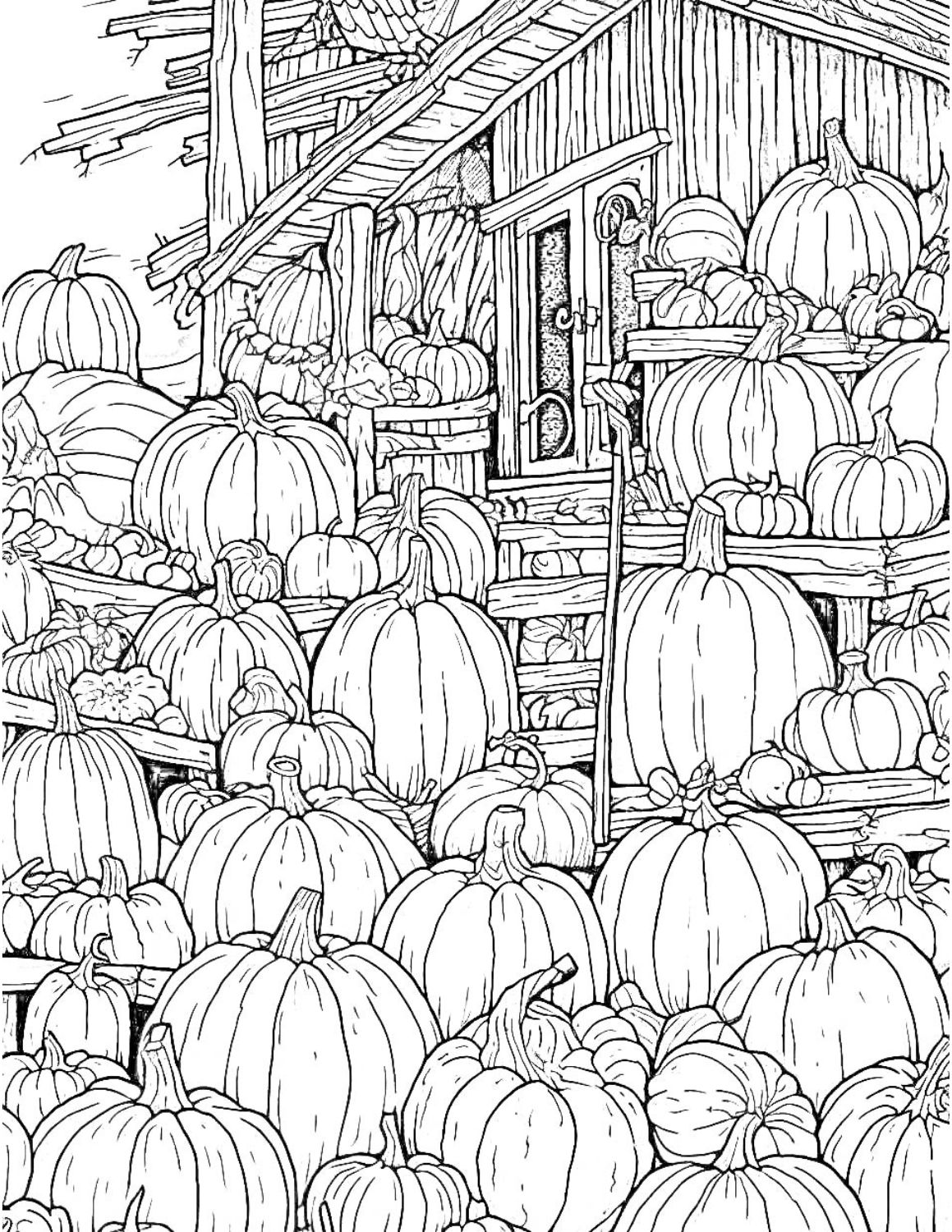 Pumpkin coloring pages for kids and adults