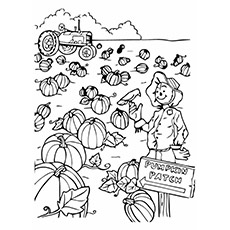 Top free printable pumpkin patch coloring pages online