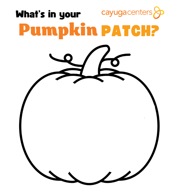 Pumpkin patch