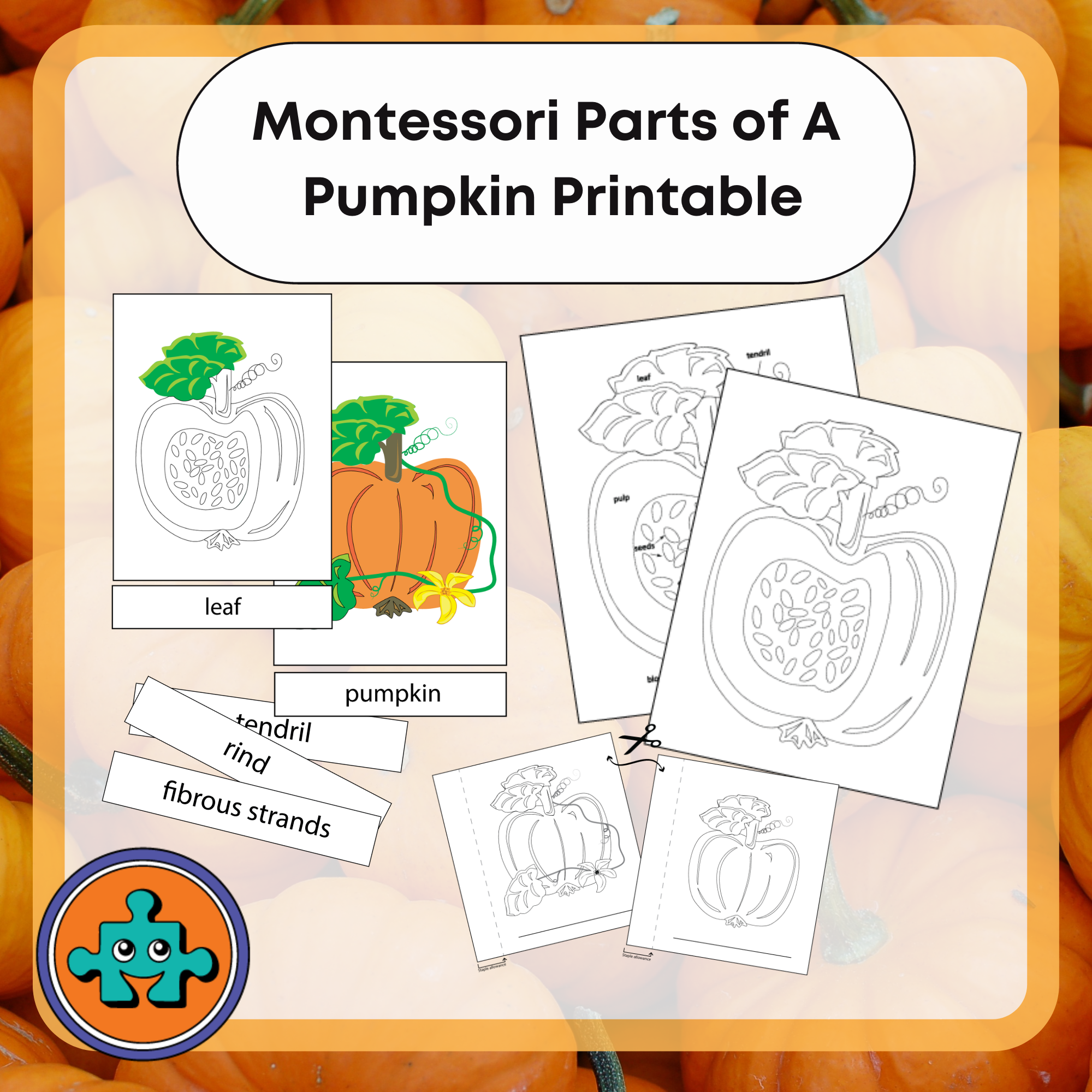 Parts of a pumpkin printable download