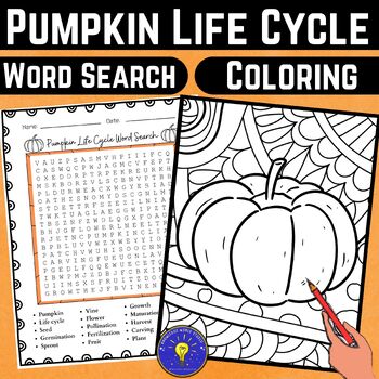 Pumpkin life cycle fun activities word search