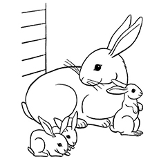 Top free printable bunny coloring pages online