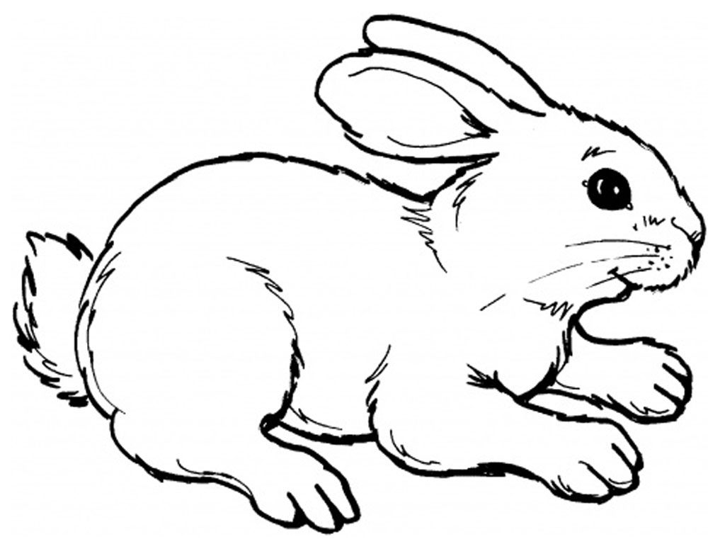 Coloring pages printable rabbit coloring pages