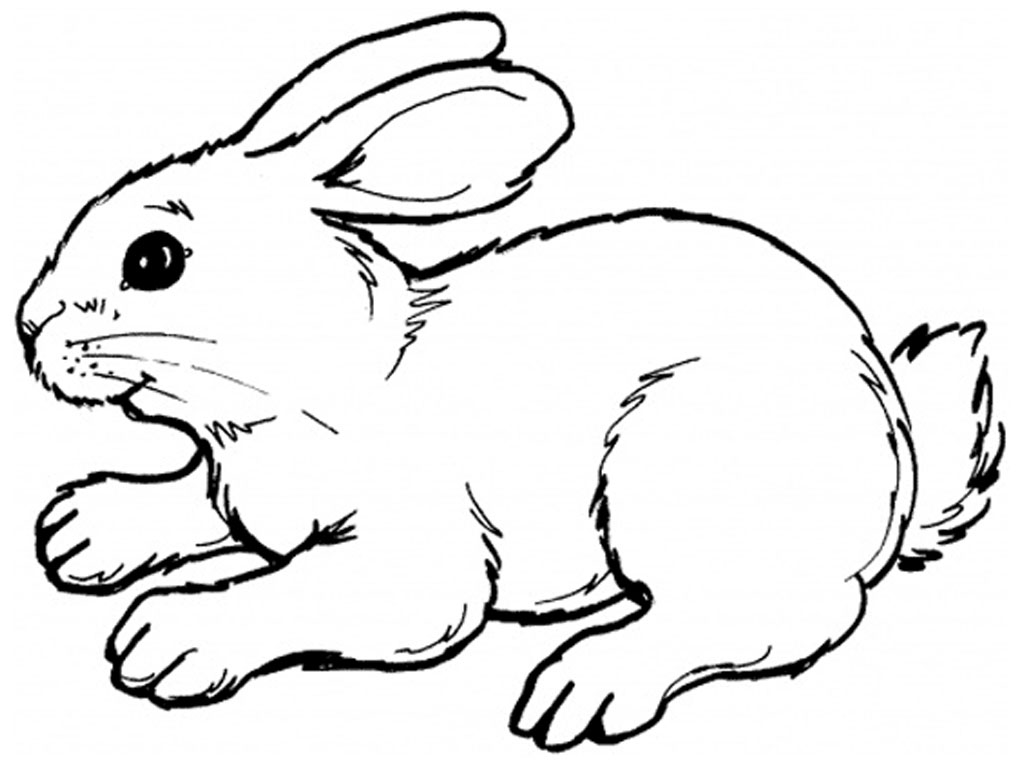 Free printable rabbit coloring pages for kids