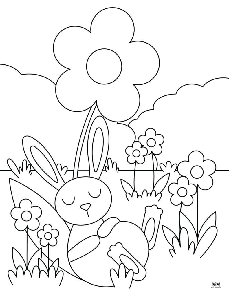 Bunny coloring pages