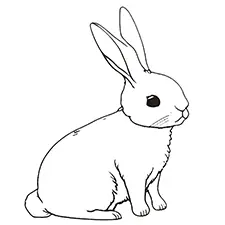 Bunny coloring pages for kids free pdf downloads