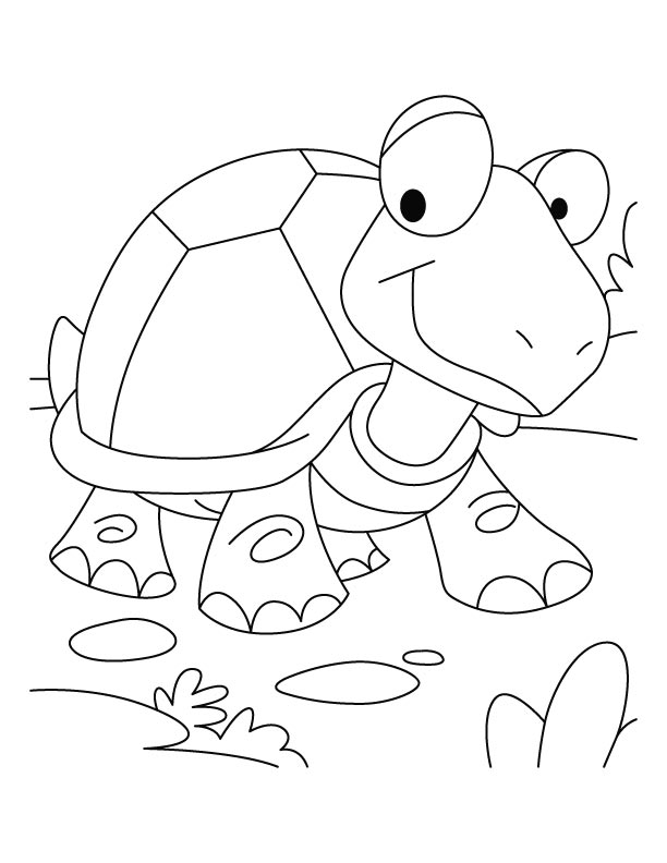 Tortoise won the race coloring pages download free tortoise won the race coloring pages for kids best coloring pages