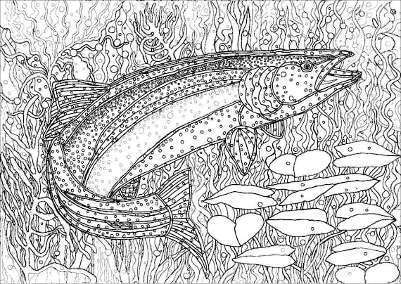 Wyoming wildlife rainbow trout fish outdoors nature printable adult coloring book page instant download zentangle pdf kraft color meditation