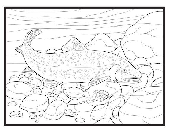 Trout single coloring page