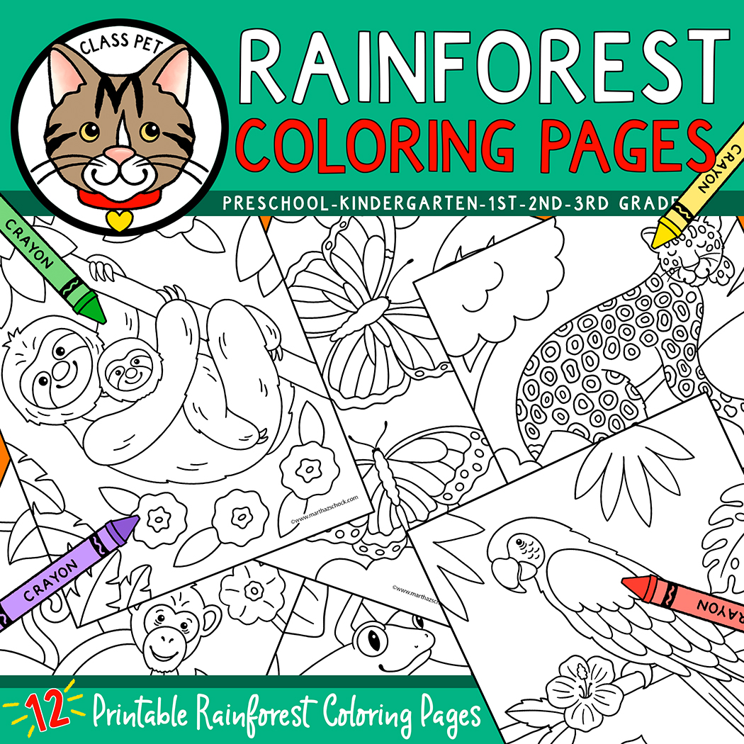 Rainforest coloring pages made by teachers