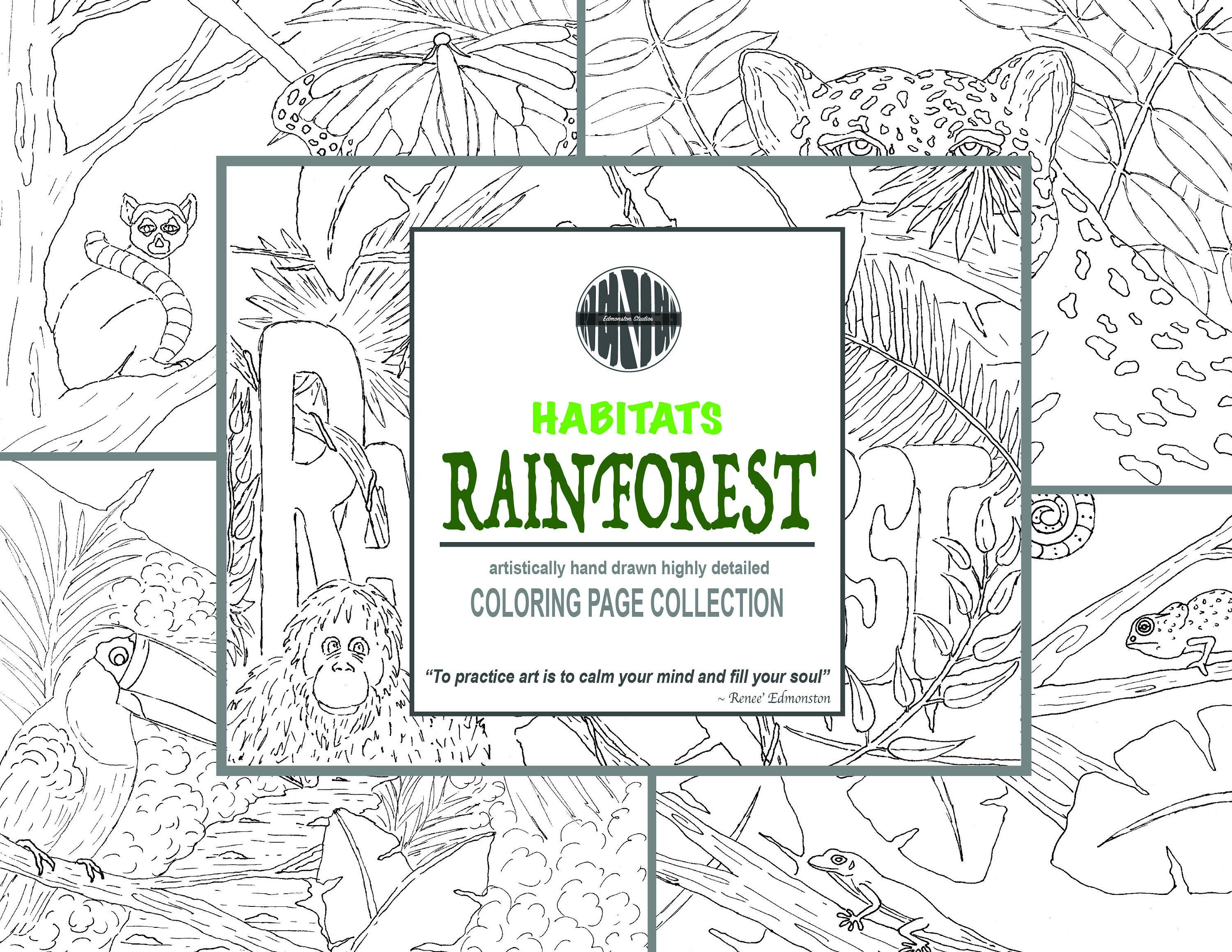 Rainforest habitat coloring pages coloring sheets printable hand illustrated instant download