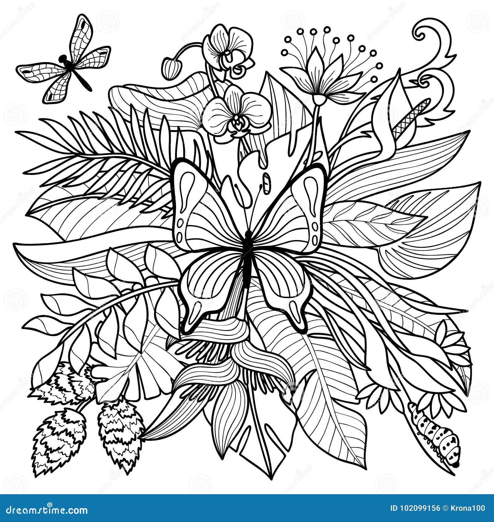 Tropical rainforest coloring page stock illustrations â tropical rainforest coloring page stock illustrations vectors clipart