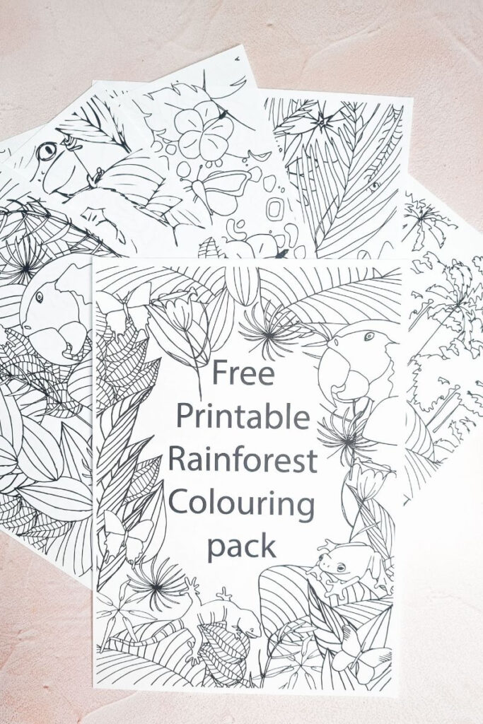 Disver the beauty of the rainforest with free printable louring sheets