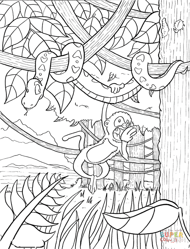 Rainforest coloring page free printable coloring pages