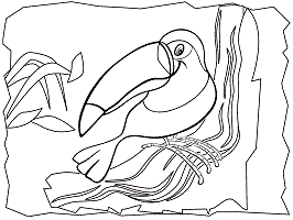Rainforest animals coloring pages