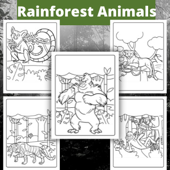 Rainforest animals coloring pages by qetsy tpt
