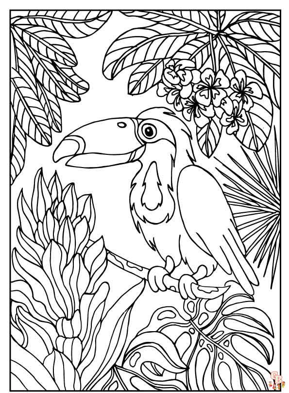 Explore the world of rainforest coloring pages
