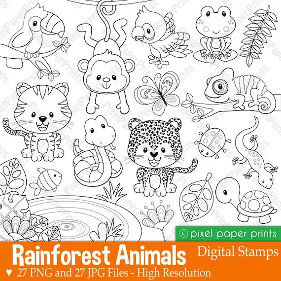 Rainforest animals stamps digital stamps line art wild animals printable graphics for cards worksheets coloring pages and more instant download