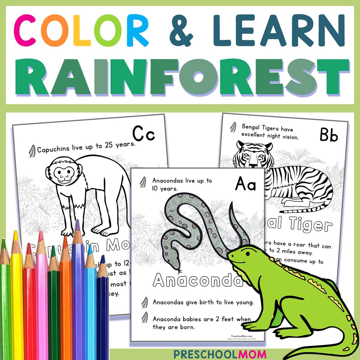 Rainforest coloring pages