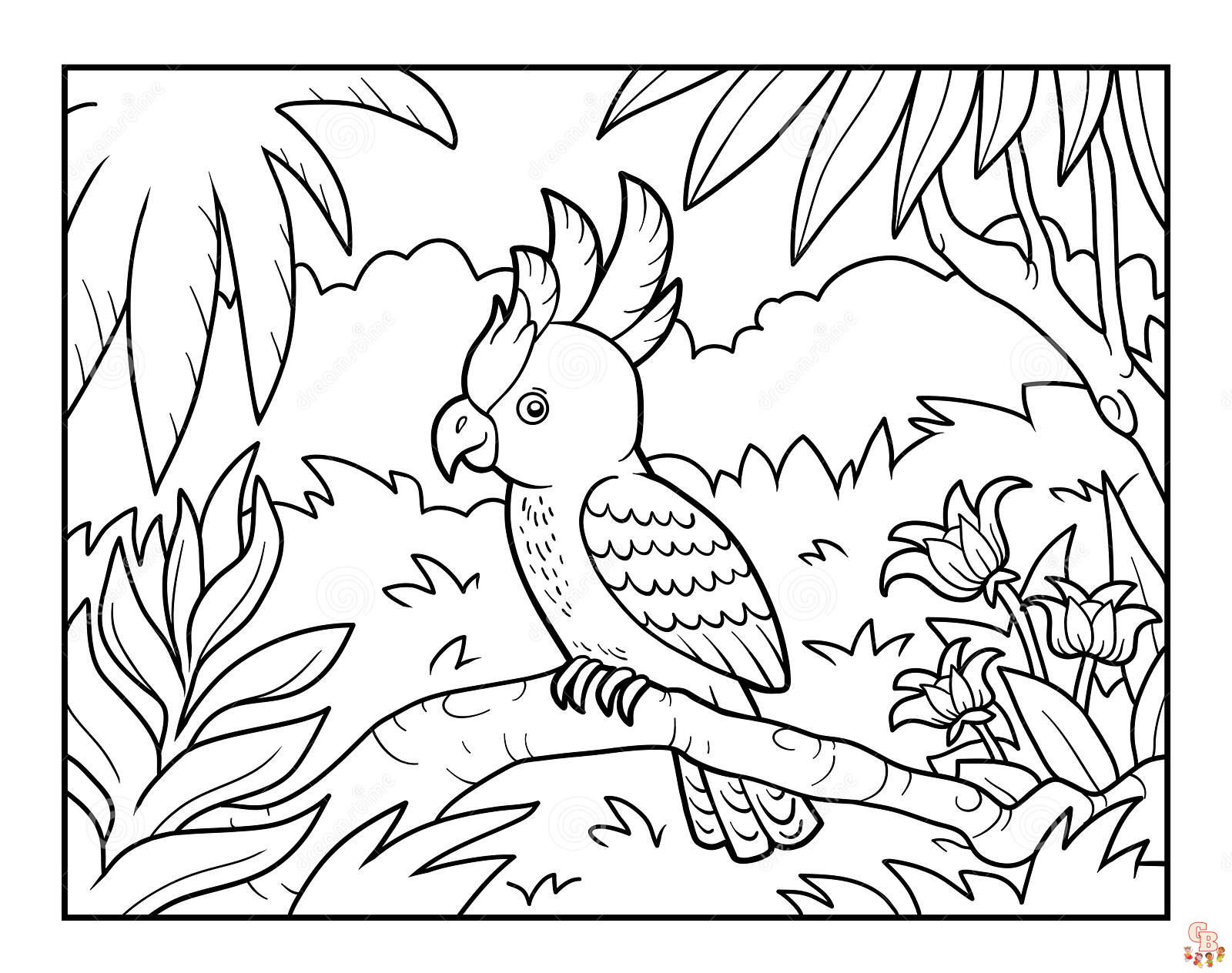 Explore the world of rainforest coloring pages