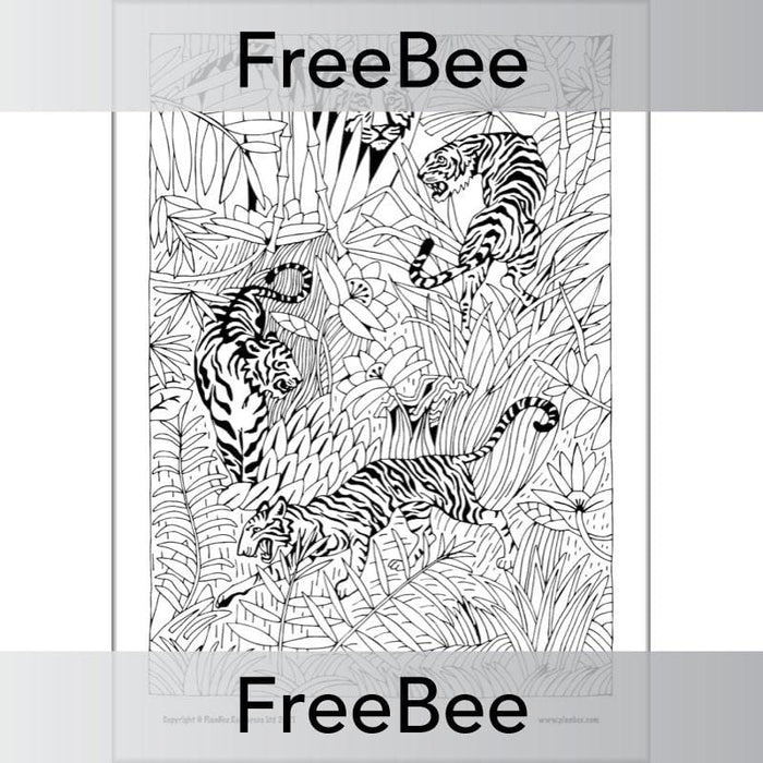 Rainforest art ks mindfulness colouring pages by