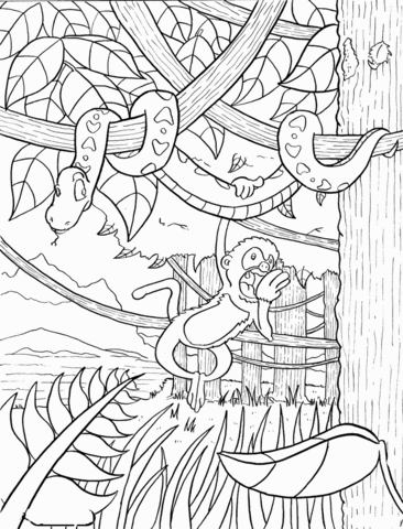 Rainforest coloring page free printable coloring pages jungle coloring pages animal coloring pages coloring pages