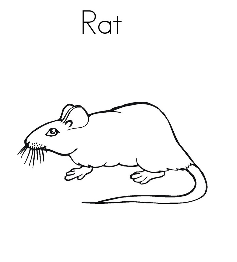 Free printable rat coloring pages for kids