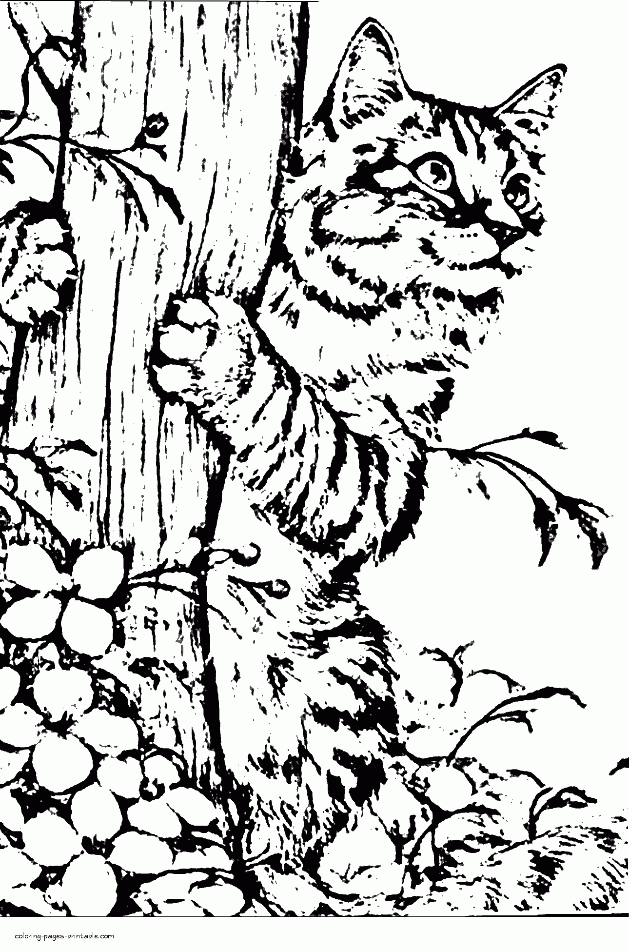 Realistic cat coloring page cat coloring page dog coloring page kittens coloring