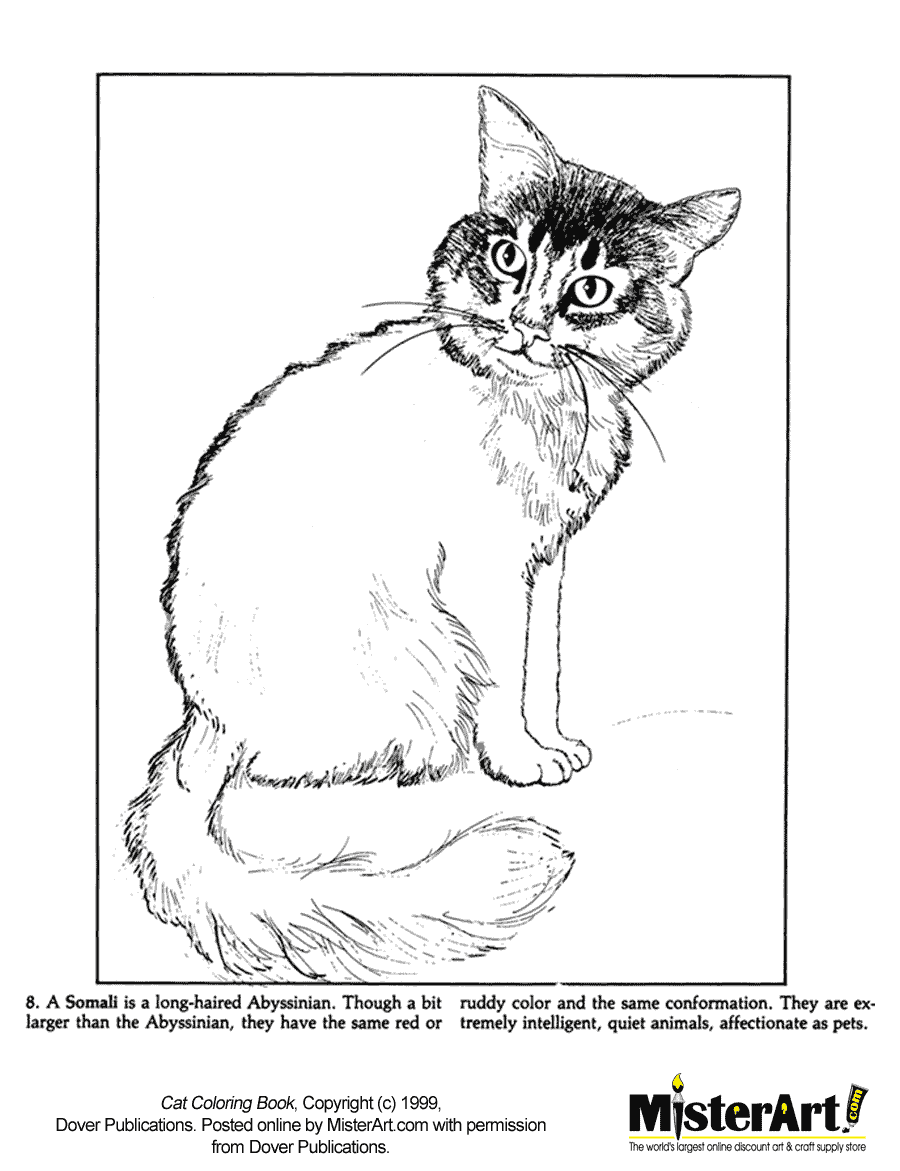 Free coloring page cat coloring book download free crafts for kids dover coloring books