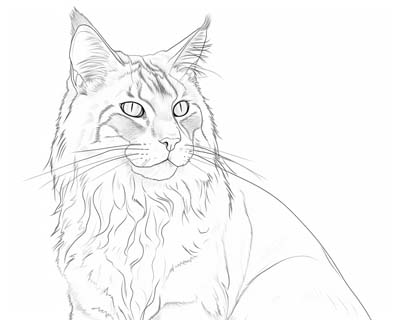 Realistic cats pages