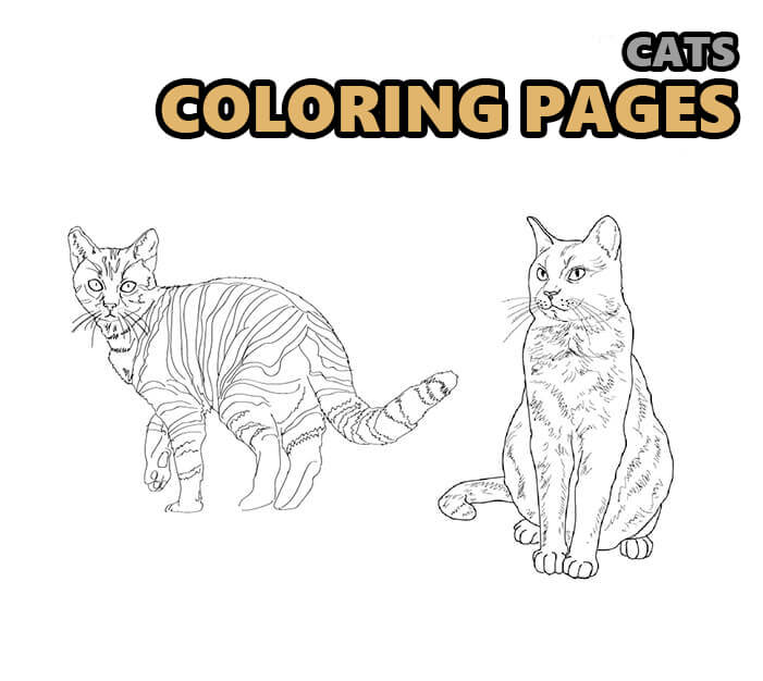 Cats loring pages