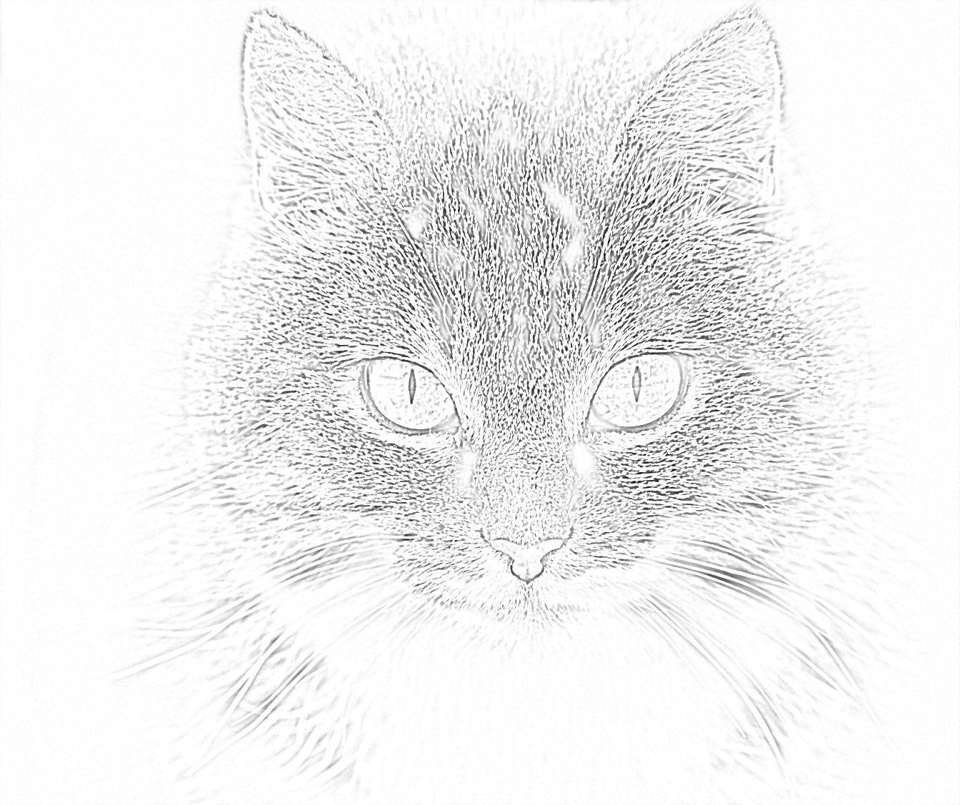 Free cat coloring page coloring pages mimi panda