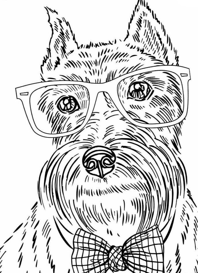 Dog coloring pages for adults