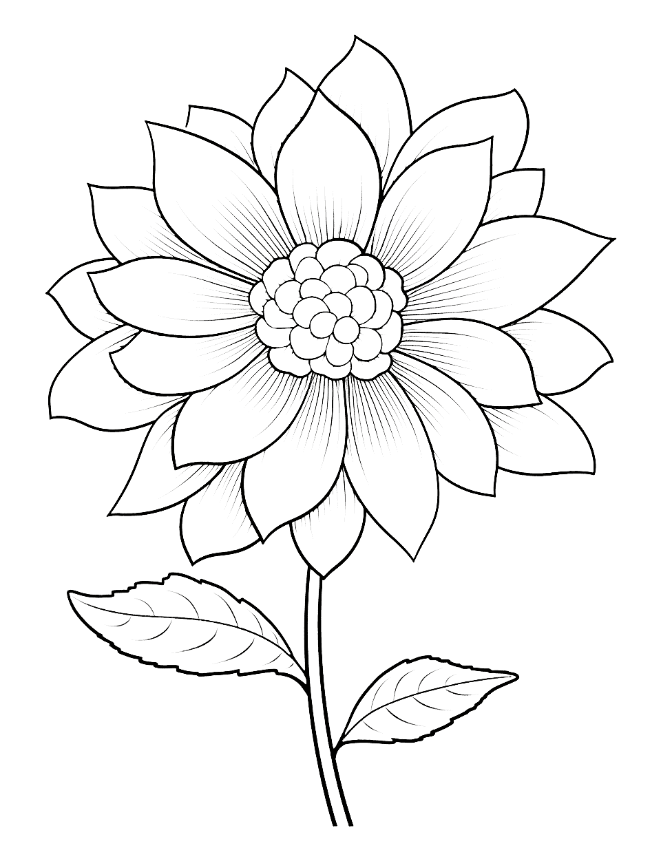 Flower coloring pages free printable sheets