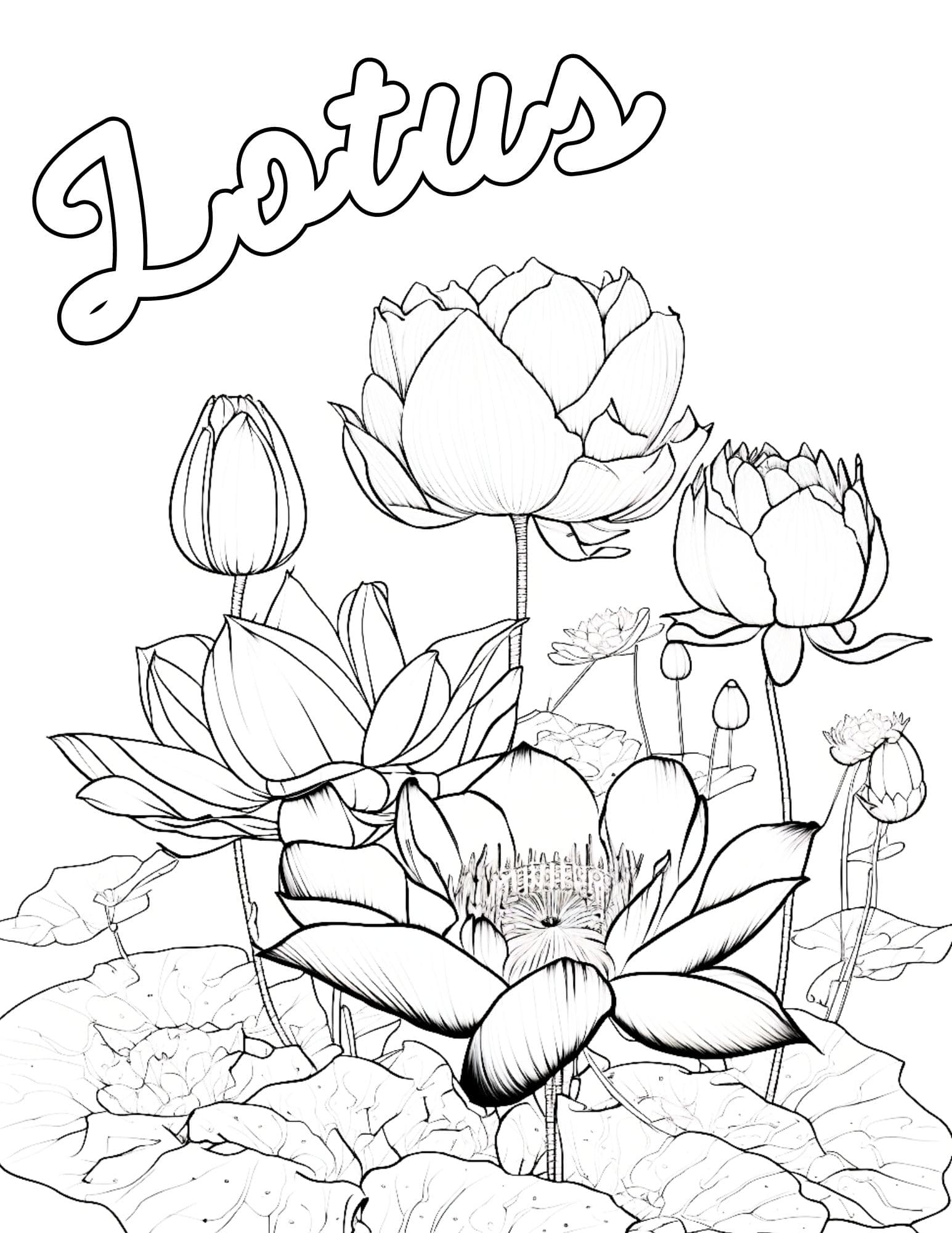 Stunning flower coloring pages for kids and adults