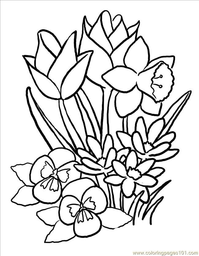 Spring flowers coloring pages printable for free download