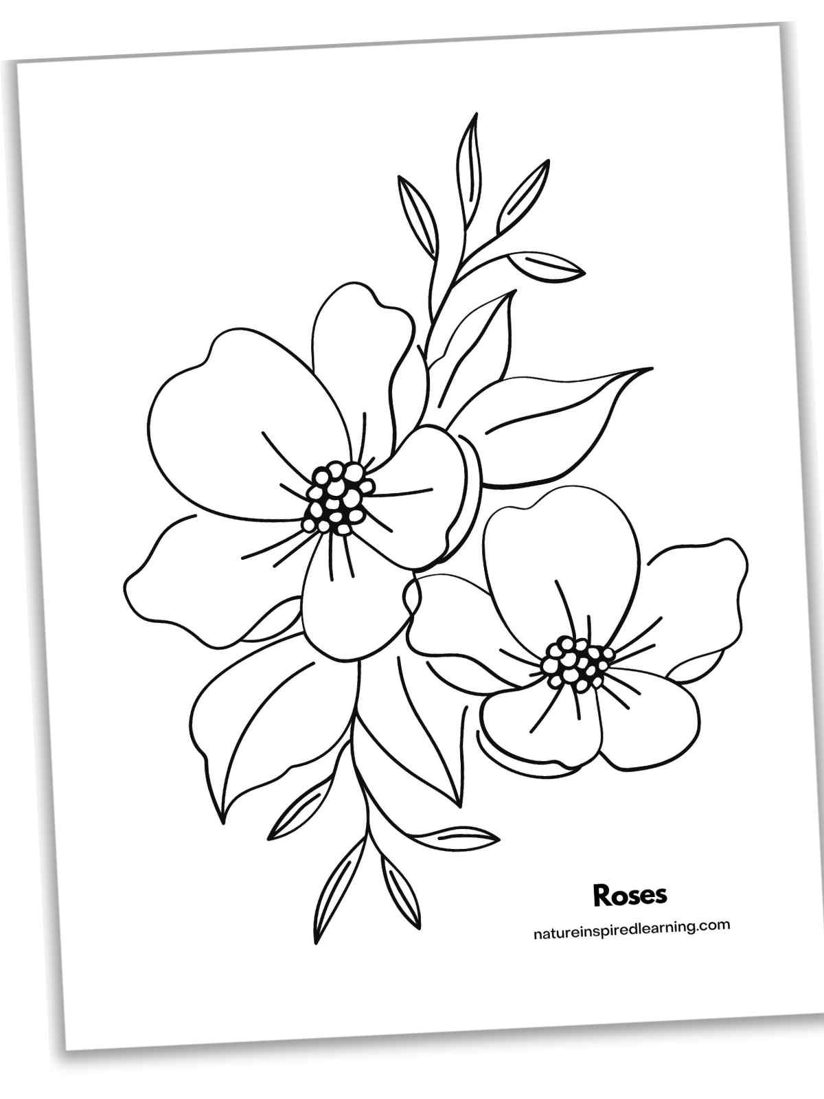 Beautiful flower coloring pages