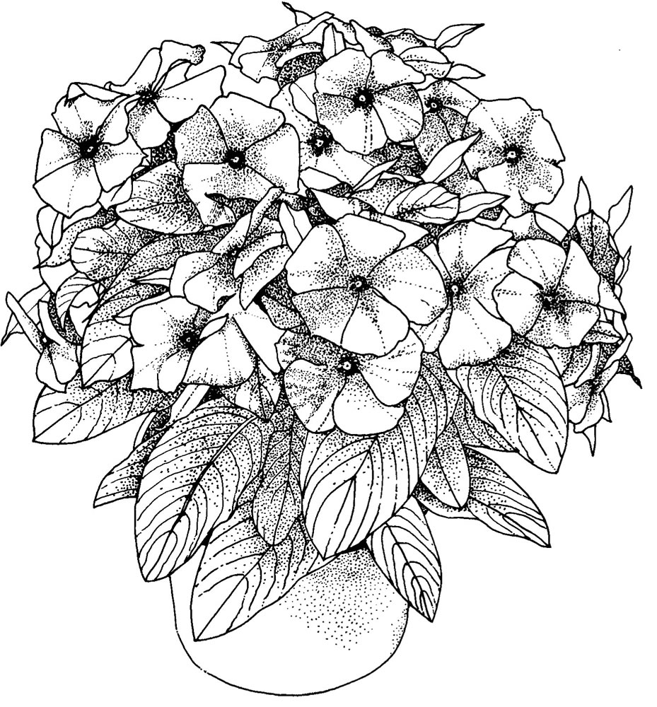 Flower coloring pages for adults