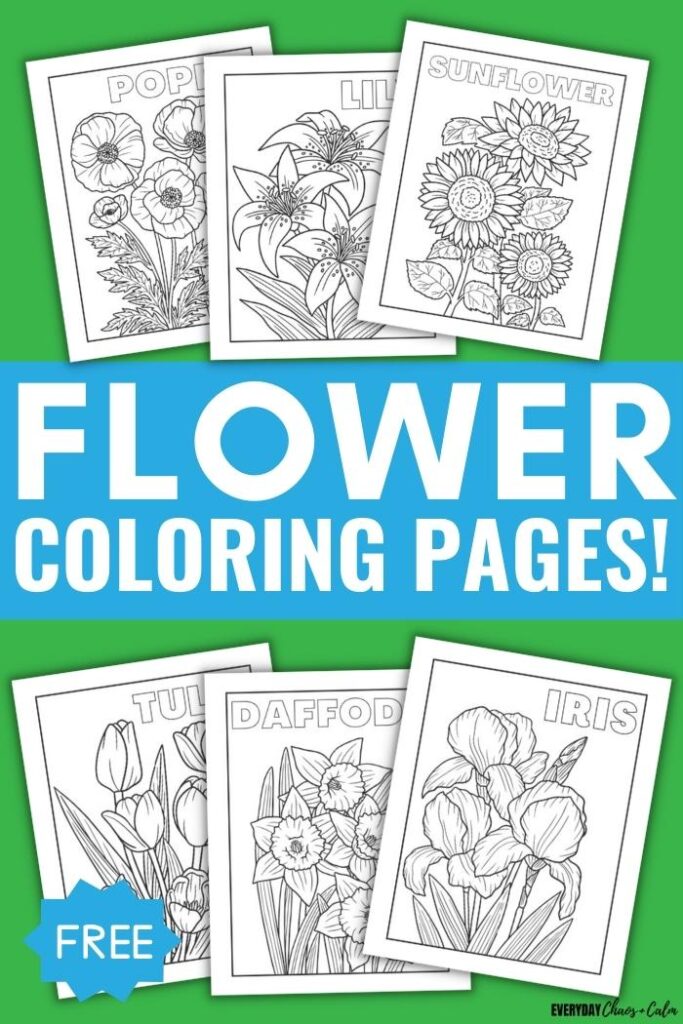 Free realistic flower coloring pages for all ages