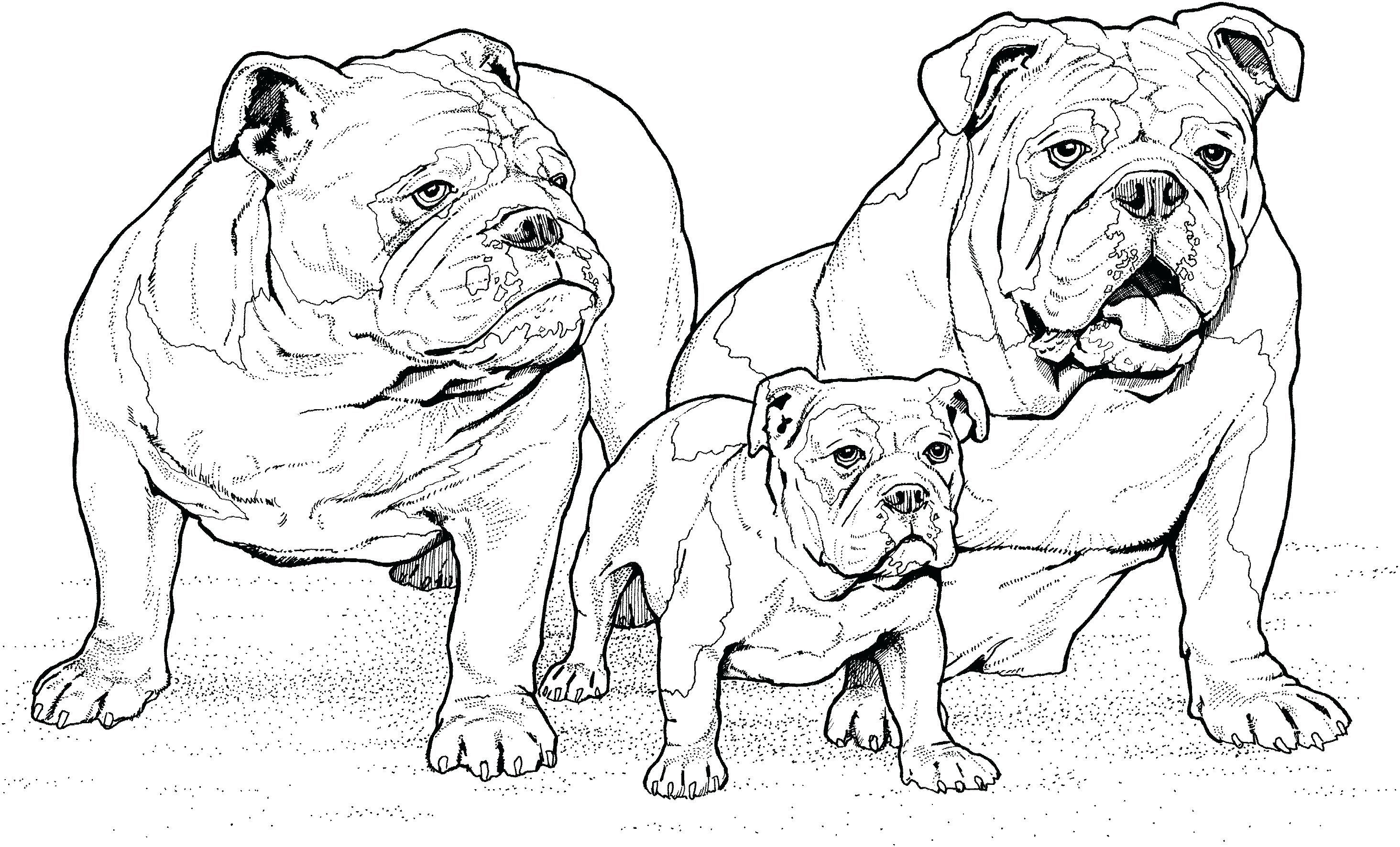 Printable dog coloring pages pdf for kids